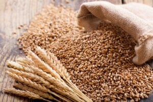 wheat ears and grains on a wooden table